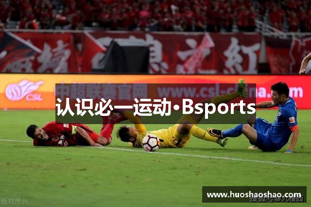 认识必一运动·Bsports